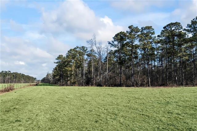0 Rohner Road Amite, LA 70422 - Photo 2 of 5