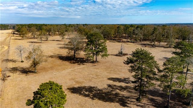 0 Rohner Road Amite, LA 70422 - Photo 5 of 5