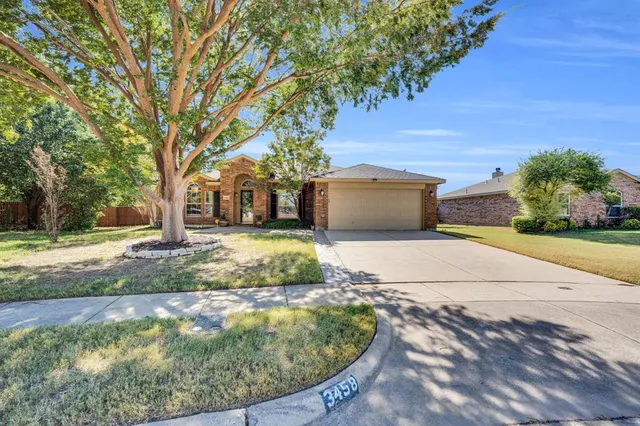 a view of a yard with large trees