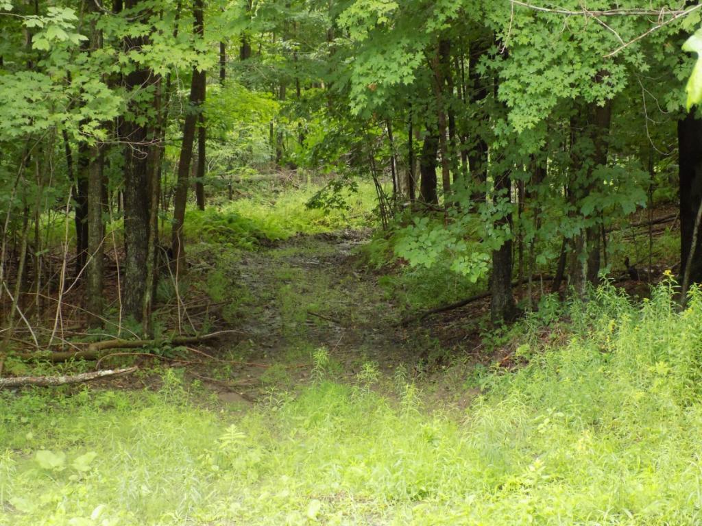 139 East Bosket Road Windsor, NY 13865 - Photo 3 of 13 Gallery Image 3