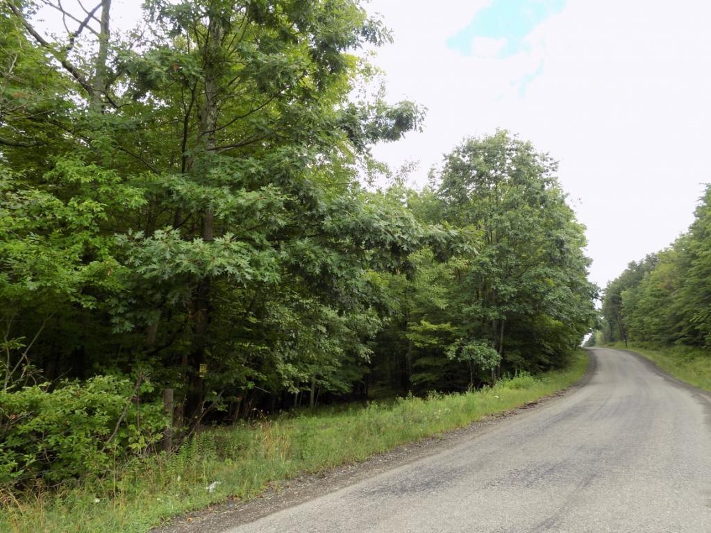 139 East Bosket Road Windsor, NY 13865 - Photo 4 of 13 Gallery Image 4