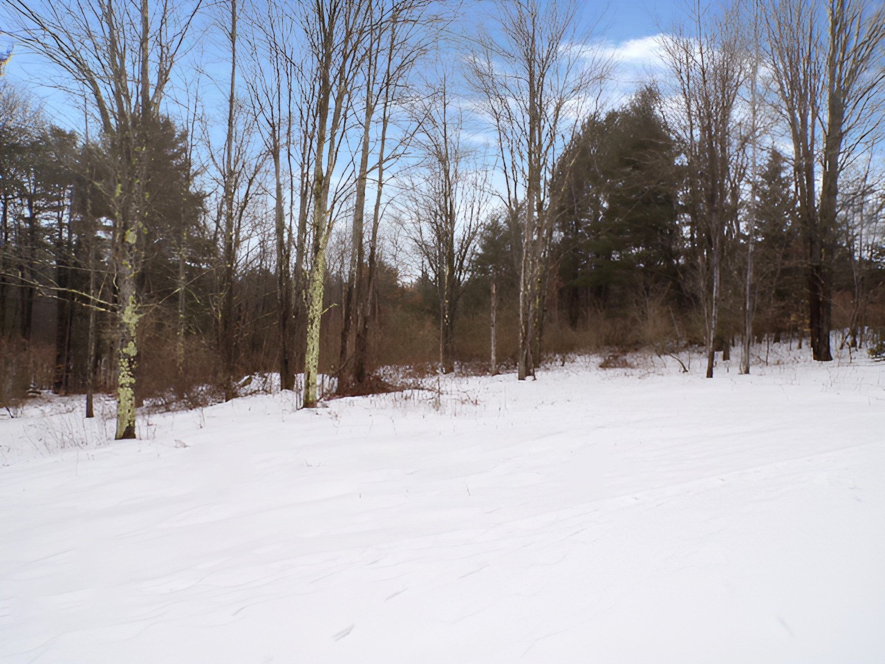 180 Swift Road Binghamton, NY 13905 - Photo 7 of 26