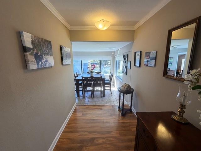 23404 Hobdy Road Sorrento, FL 32776 - Photo 27 of 51