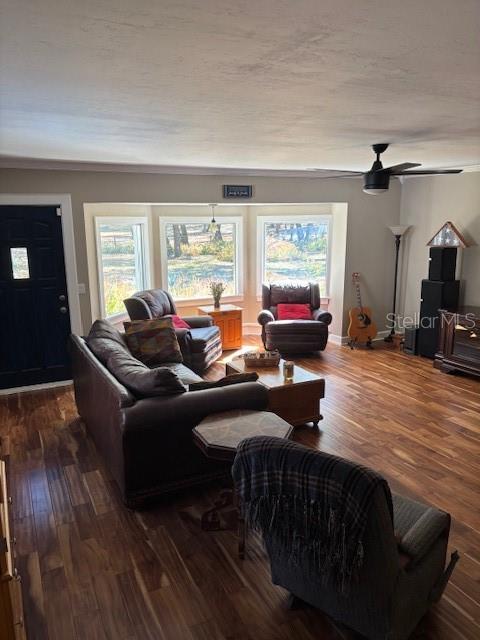 23404 Hobdy Road Sorrento, FL 32776 - Photo 33 of 51