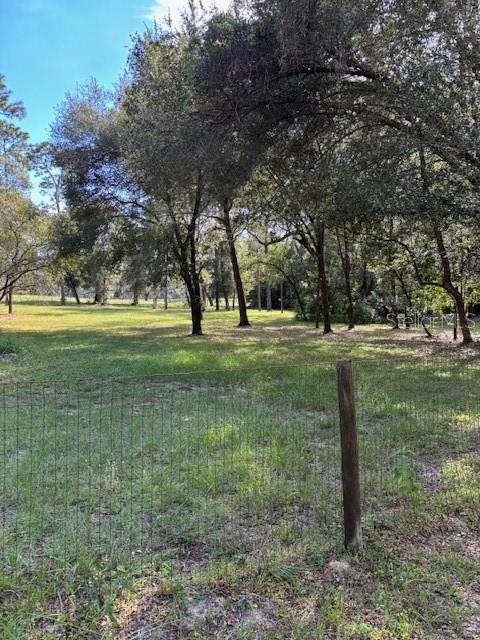 23404 Hobdy Road Sorrento, FL 32776 - Photo 34 of 51