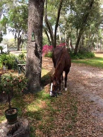 $899,000 | 23404 Hobdy Road, Sorrento, FL 32776