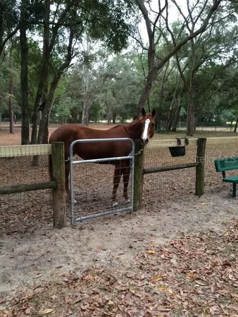 $899,000 | 23404 Hobdy Road, Sorrento, FL 32776