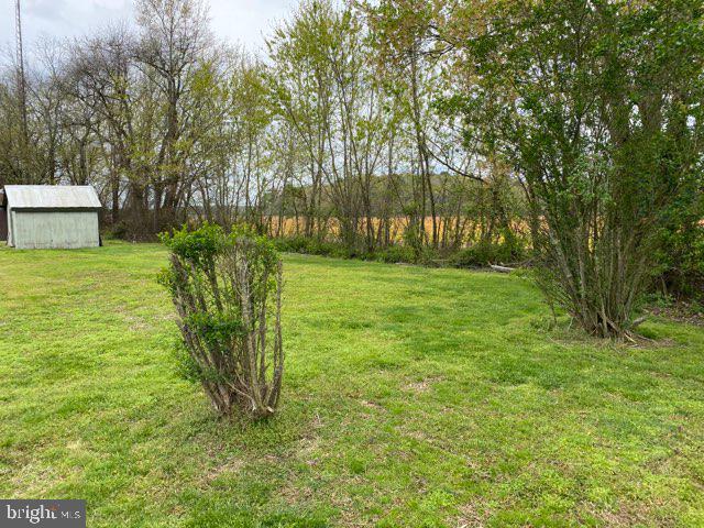 6342 Mockingbird Lane Rhodesdale, MD 21659 - Photo 8 of 8