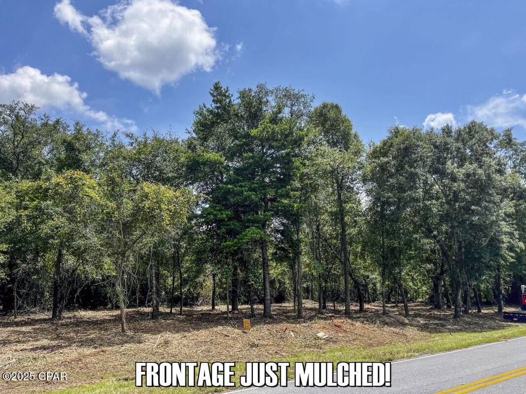 Tbd Salem Church Road Sneads, FL 32460 - Photo 14 of 21 Gallery Image 14