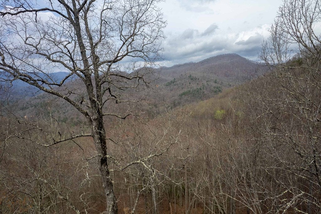 11 Stone Pillow Road Tuckasegee, NC 28783 - Photo 16 of 26 Gallery Image 16