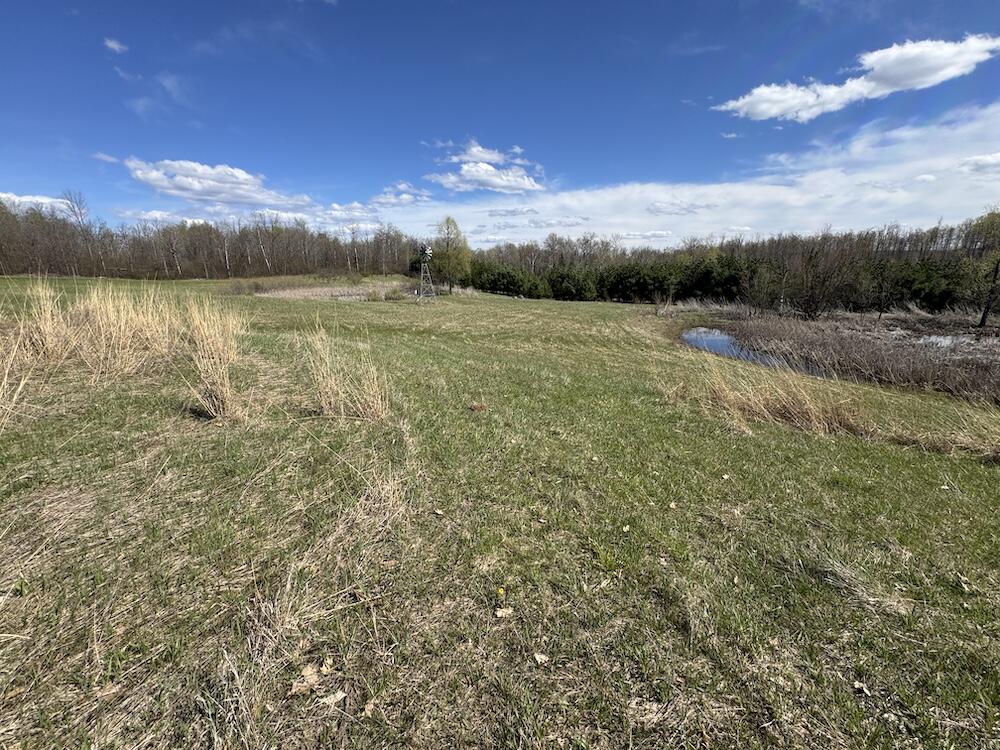 Vl Curtisville Road Mio, MI 48647 - Photo 62 of 141 IMG_2294