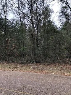 $39,000 | Lot 1 Chenel Street, Folsom, LA 70437
