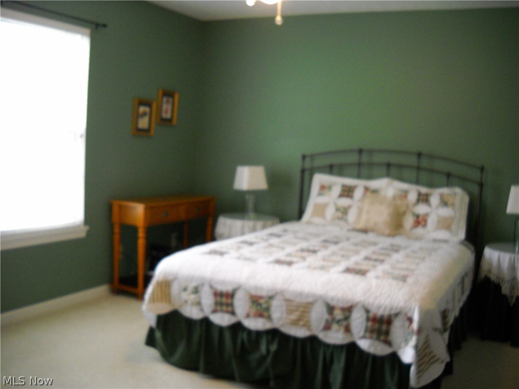 716 Rivers Edge Lane Painesville, OH 44077 - Photo 10 of 12 Gallery Image 10