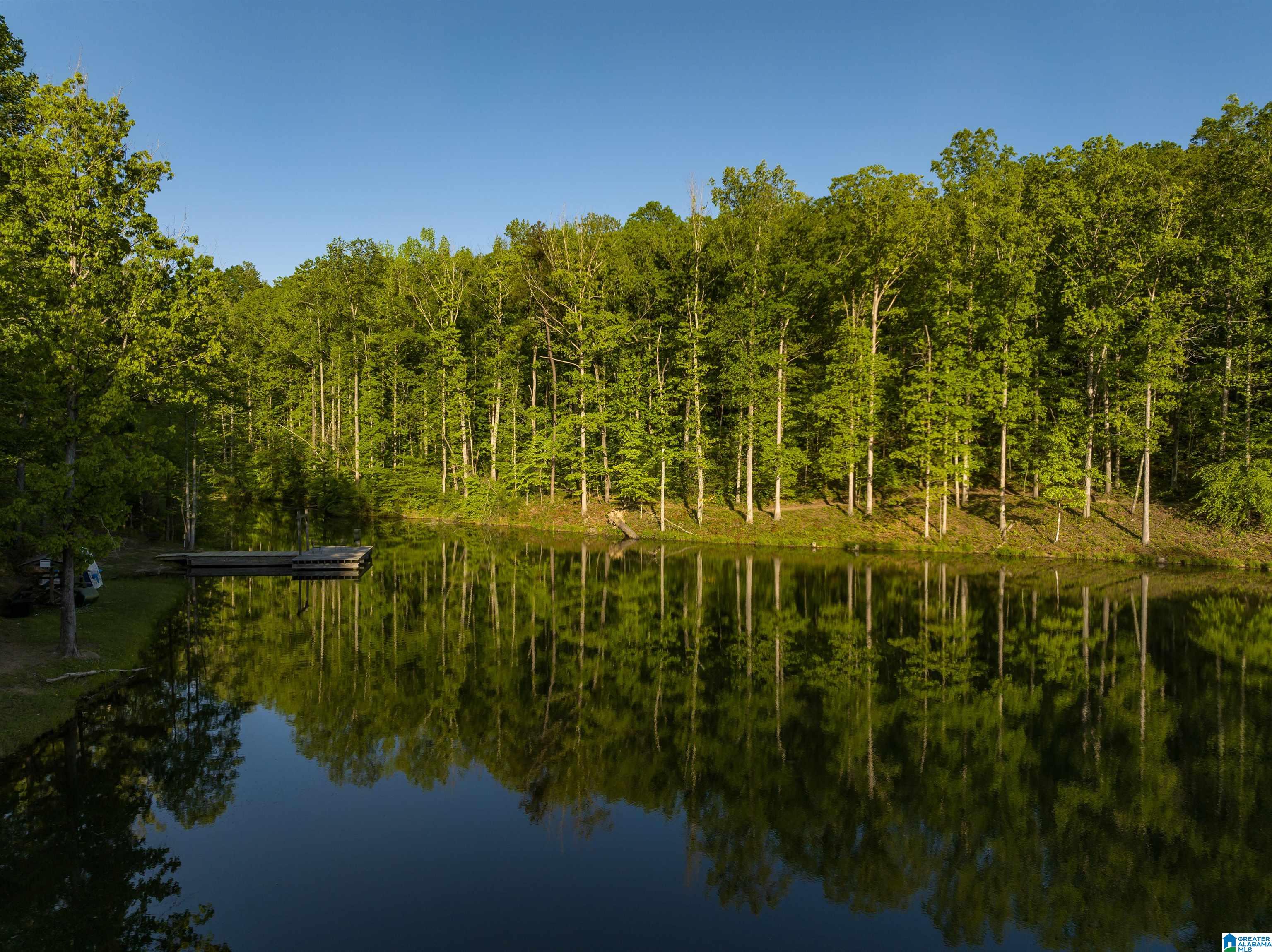 337 Timberview Trail Chelsea, AL 35043 - Photo 100 of 100