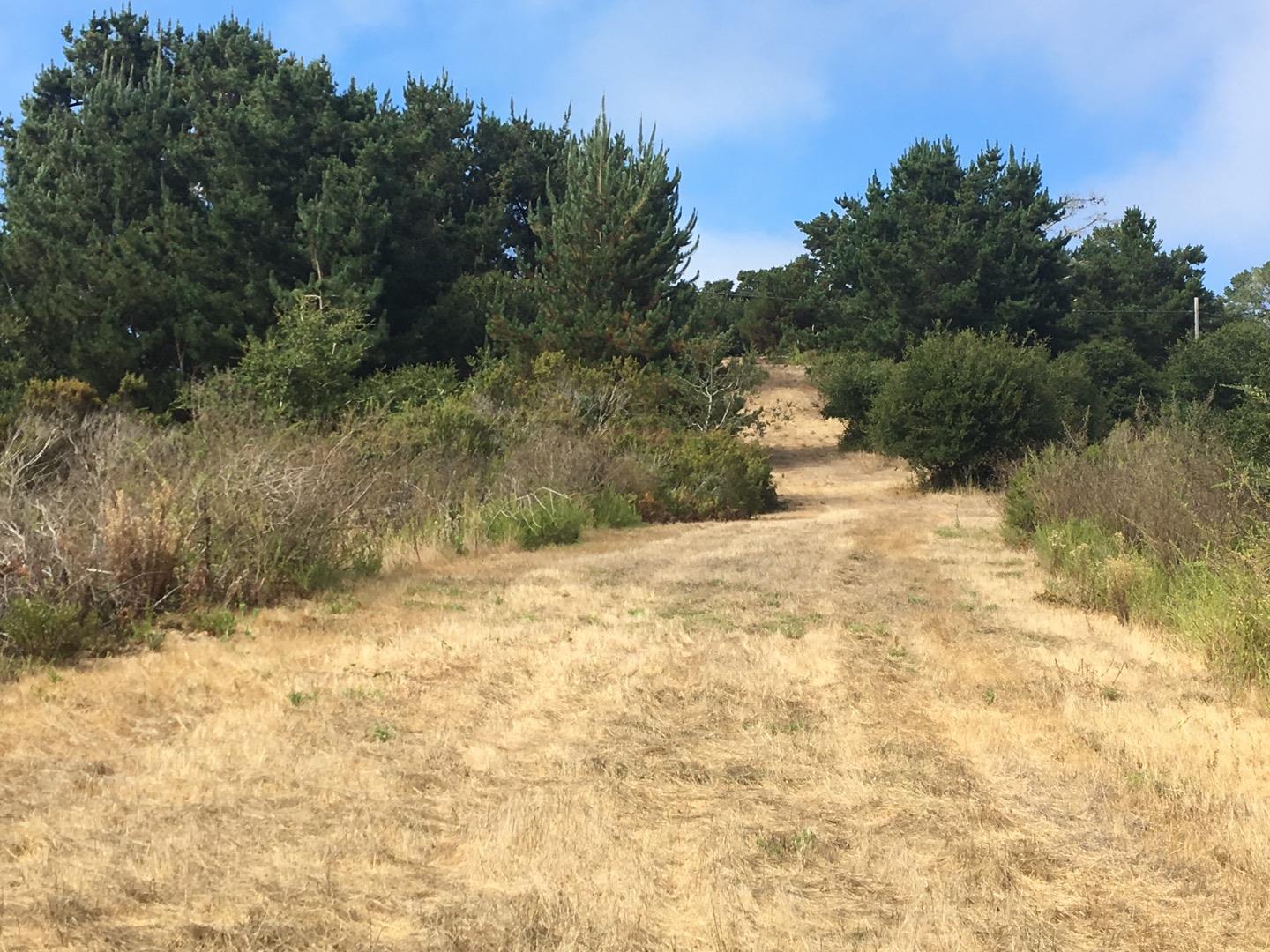 1404 Larkin Valley Road Watsonville, CA 95076 - Photo 5 of 29 Gallery Image 5