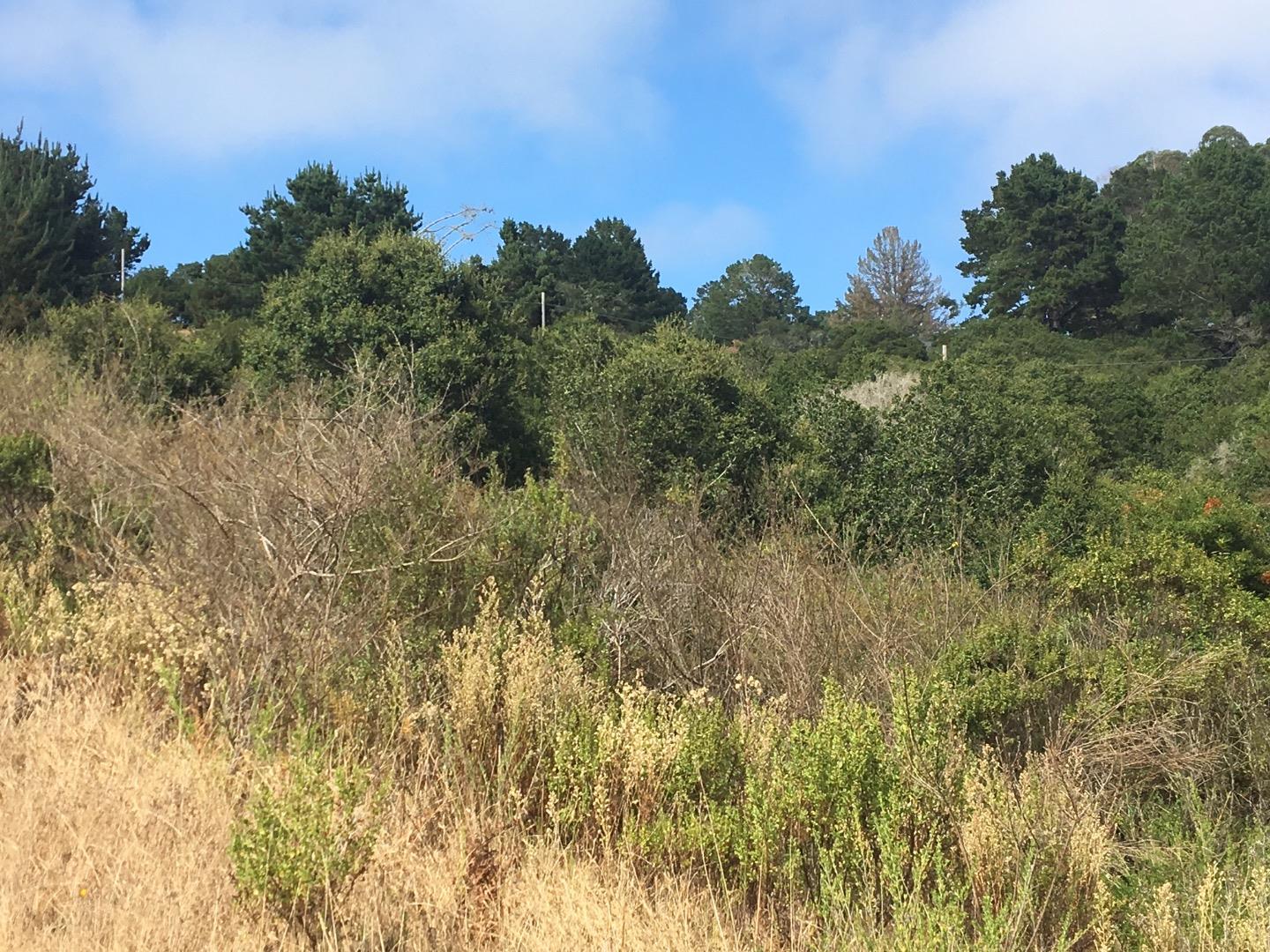 1404 Larkin Valley Road Watsonville, CA 95076 - Photo 8 of 29 Gallery Image 8
