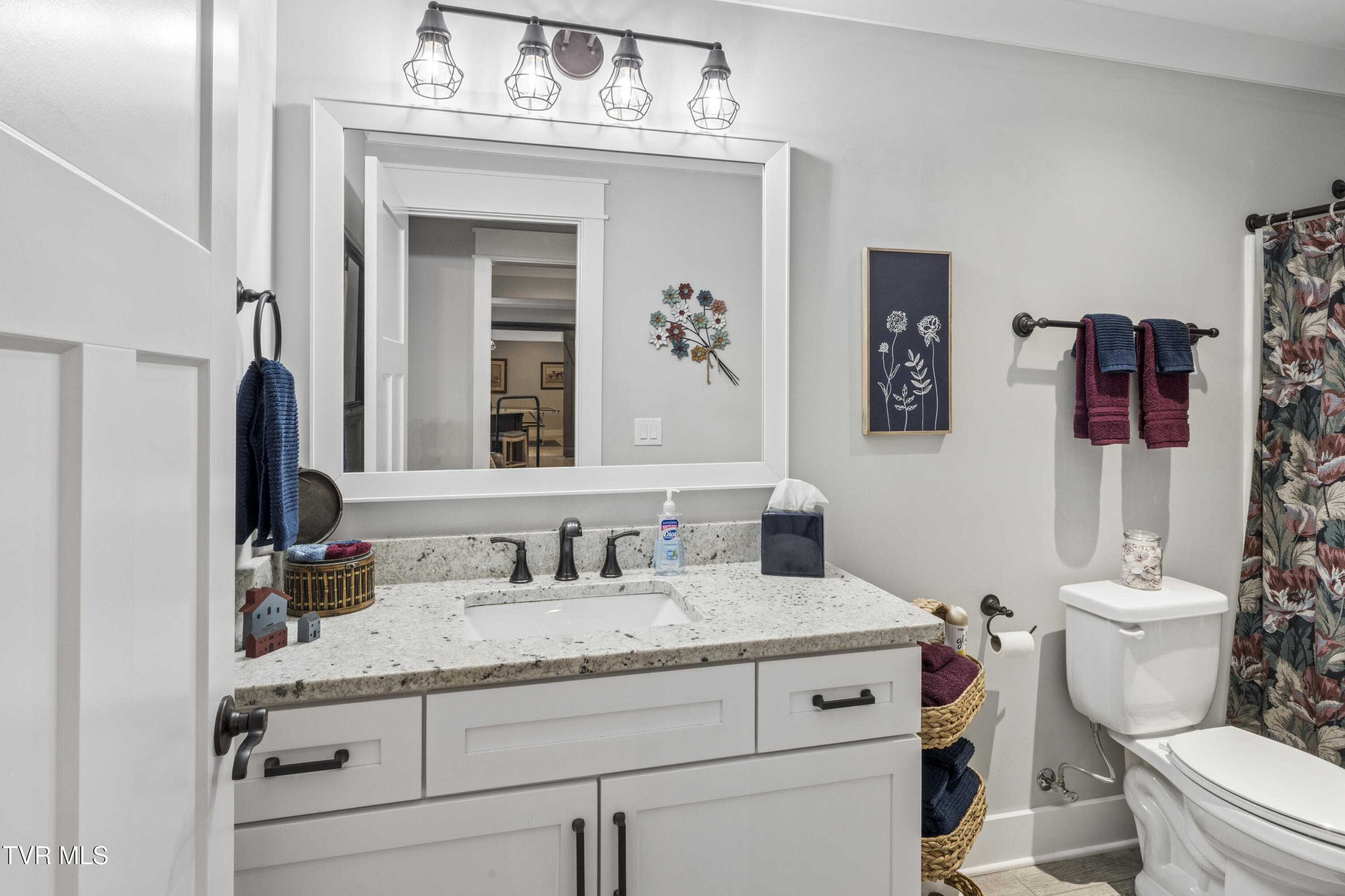 50 Sunset Ridge Court Gray, TN 37615 - Photo 67 of 108 Sunset--58