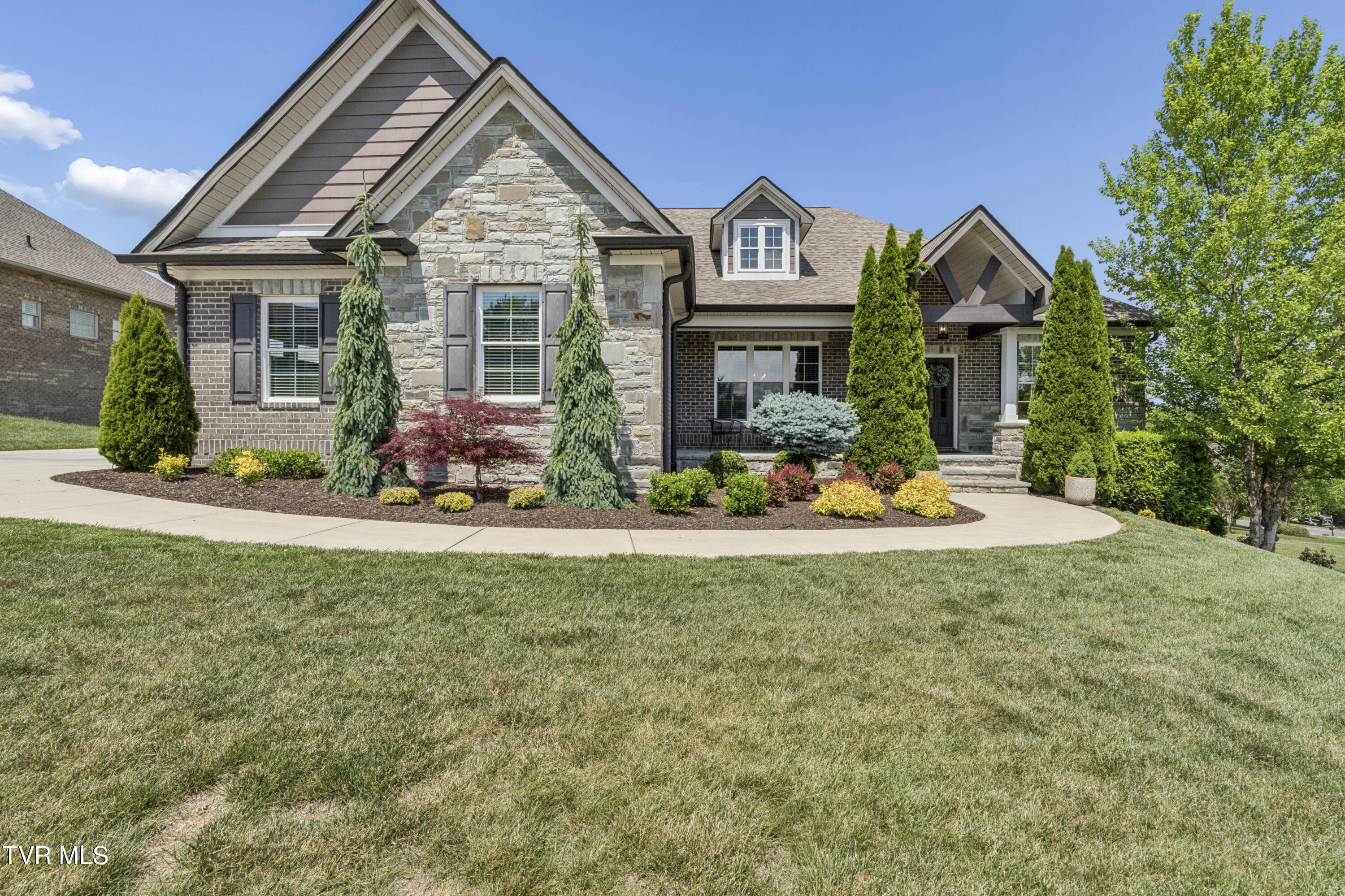 50 Sunset Ridge Court Gray, TN 37615 - Photo 8 of 108 Sunset--87