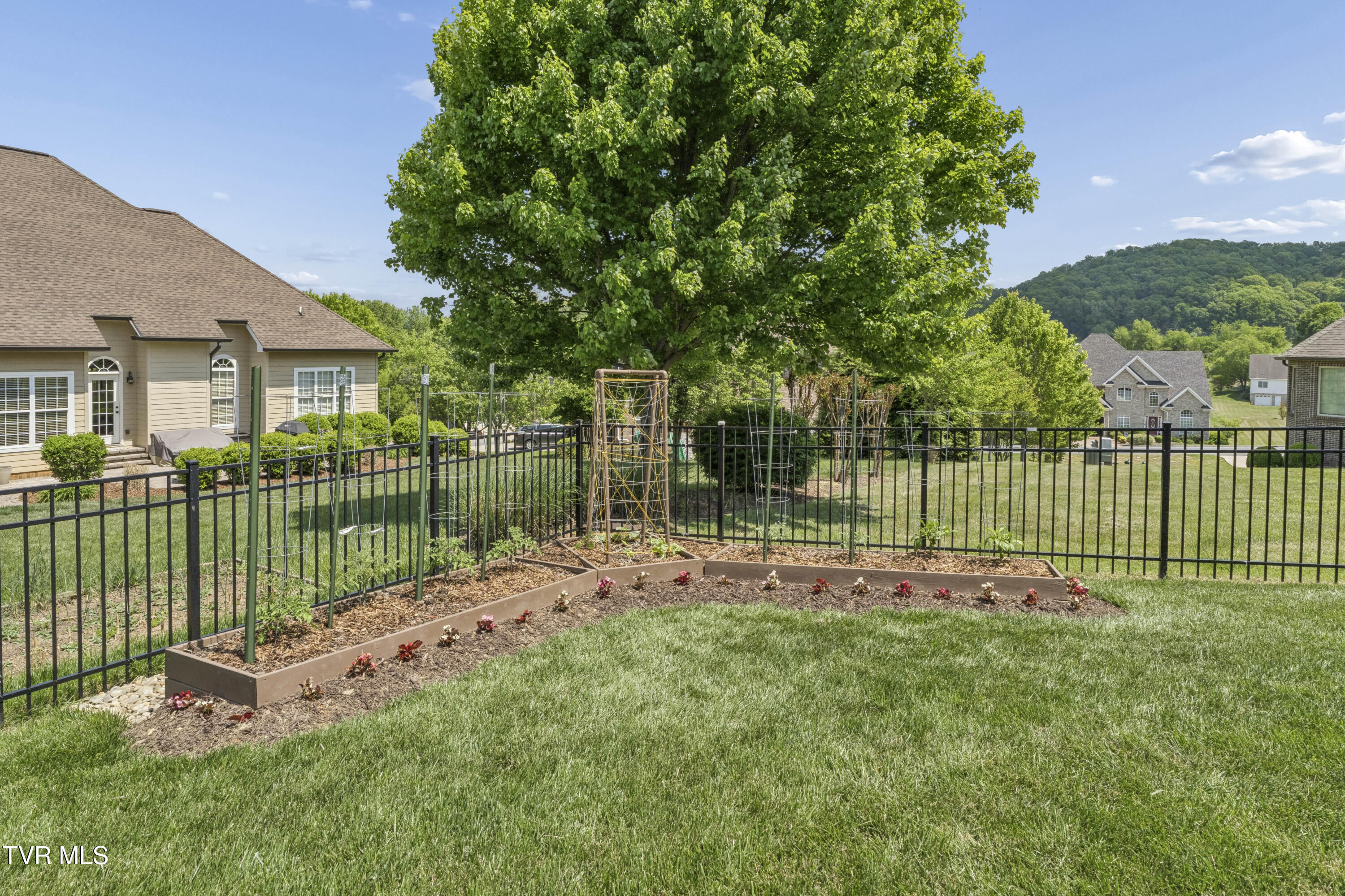 50 Sunset Ridge Court Gray, TN 37615 - Photo 93 of 108 Sunset--81