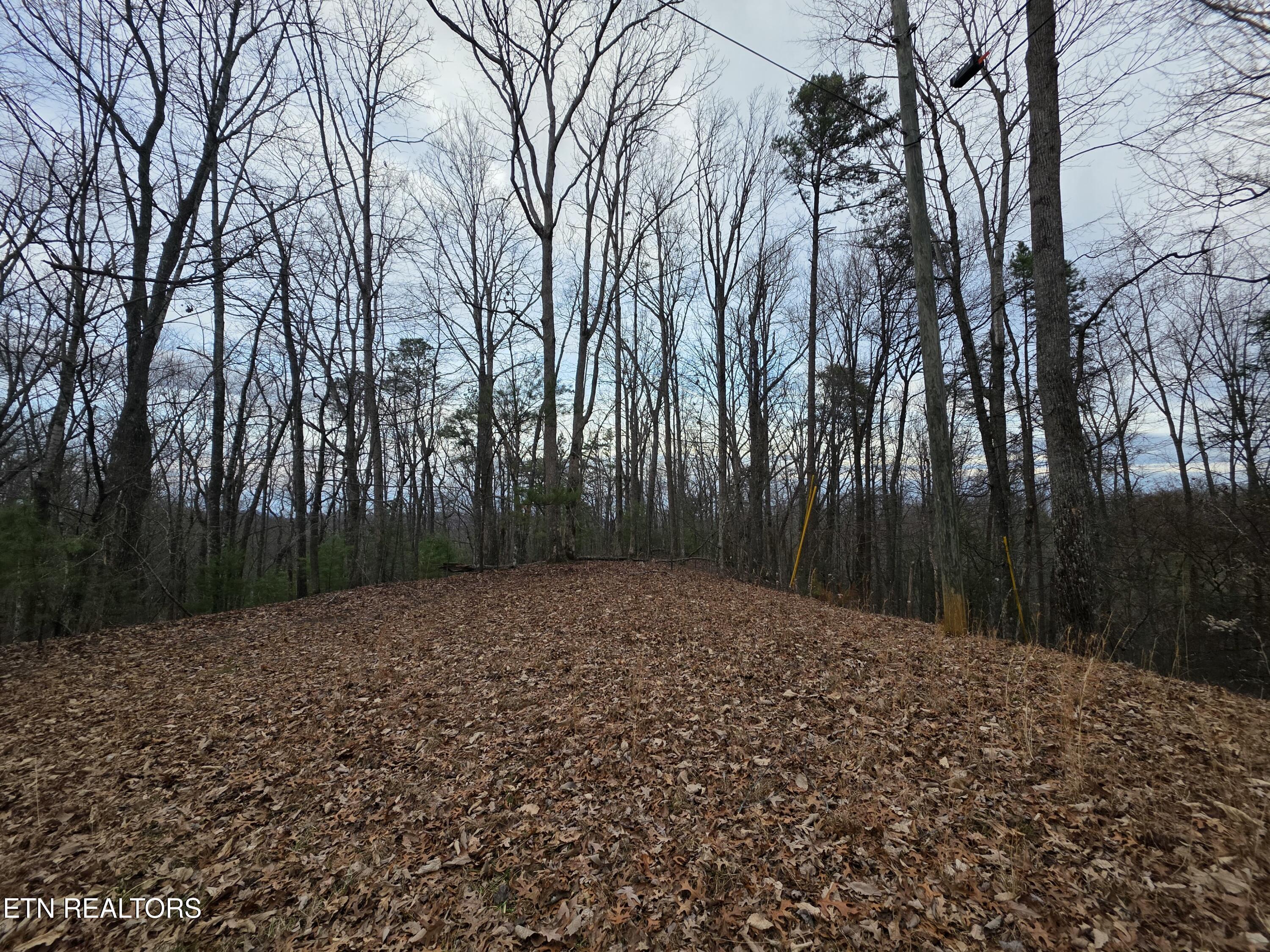 Lot 4 Deer Ridge Lane Sevierville, TN 37876 - Photo 8 of 17 20260114_082241
