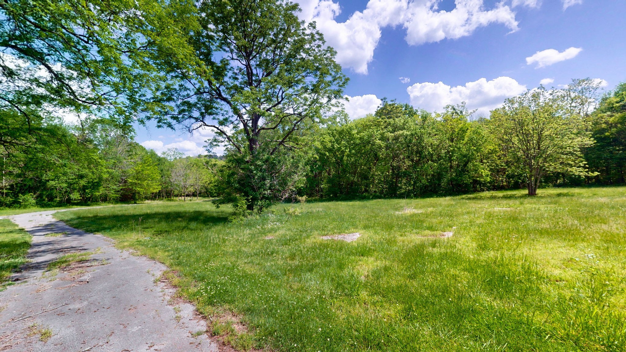 2517 Patton Hollow Road Watertown, TN 37184 - Photo 13 of 29