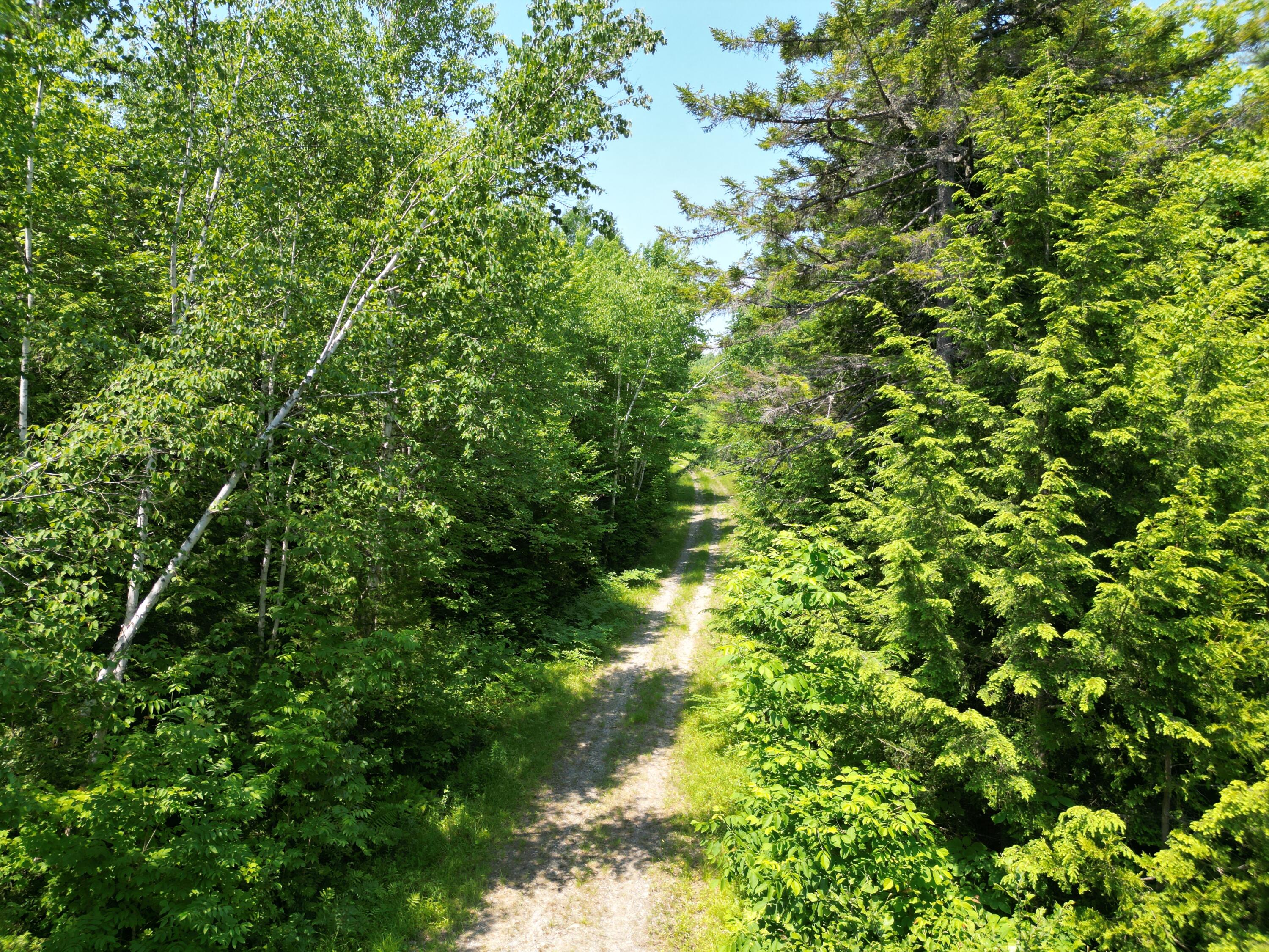 Lot 7 Dirty Glove Road Springfield, ME 04487 - Photo 17 of 20 DJI_0811