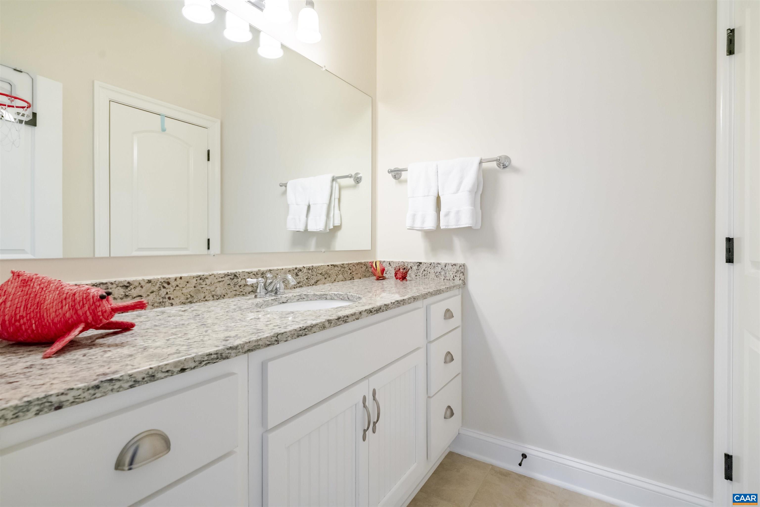 765 Summit Ridge Point Charlottesville, VA 22911 - Photo 39 of 60