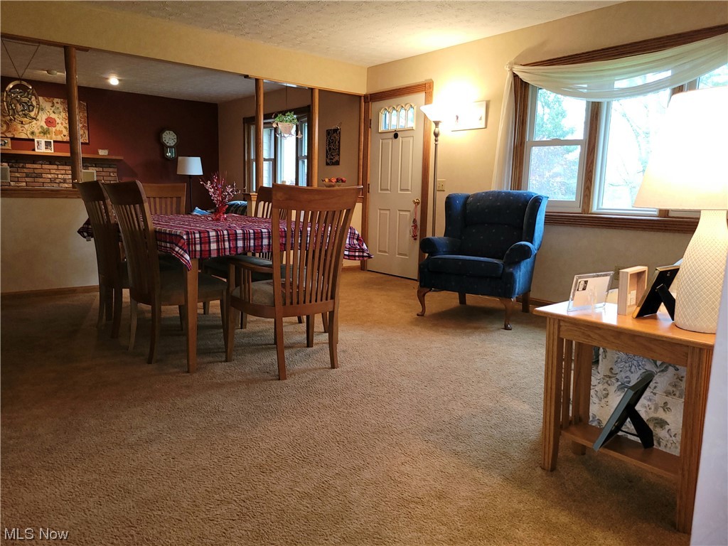 7944 Buffham Road Lodi, OH 44254 - Photo 8 of 33 Gallery Image 8