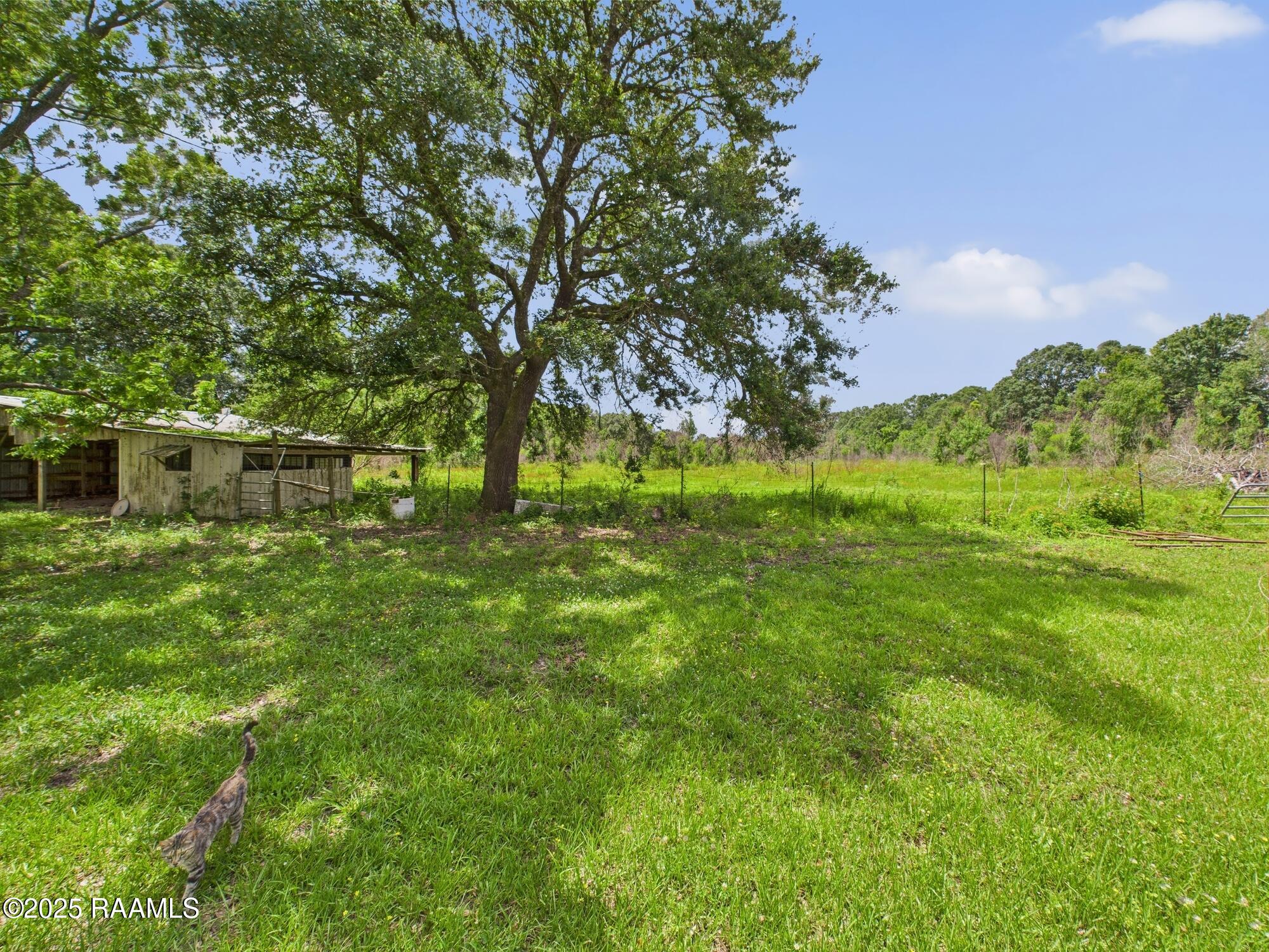 198 Jim Guillory Road Opelousas, LA 70570 - Photo 27 of 34 CAM02220G0-PR0058-STILL044