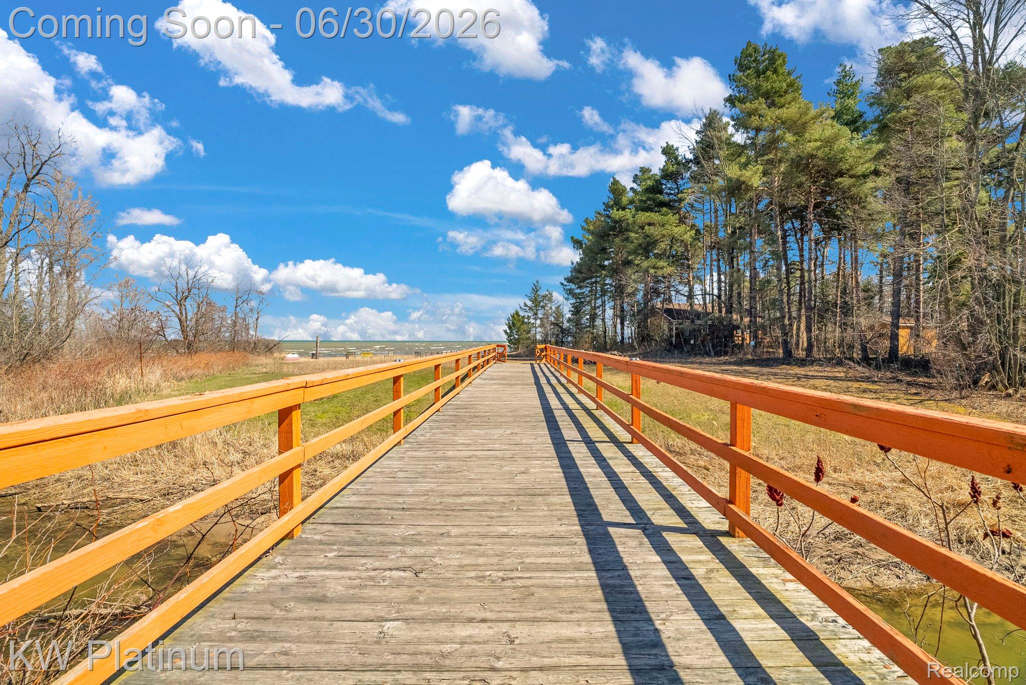 2235 South Lake Shore Road Harbor Beach, MI 48441 - Photo 77 of 99 Expansive wooden boardwalk featuring natural wood railing and a surrounding tree line