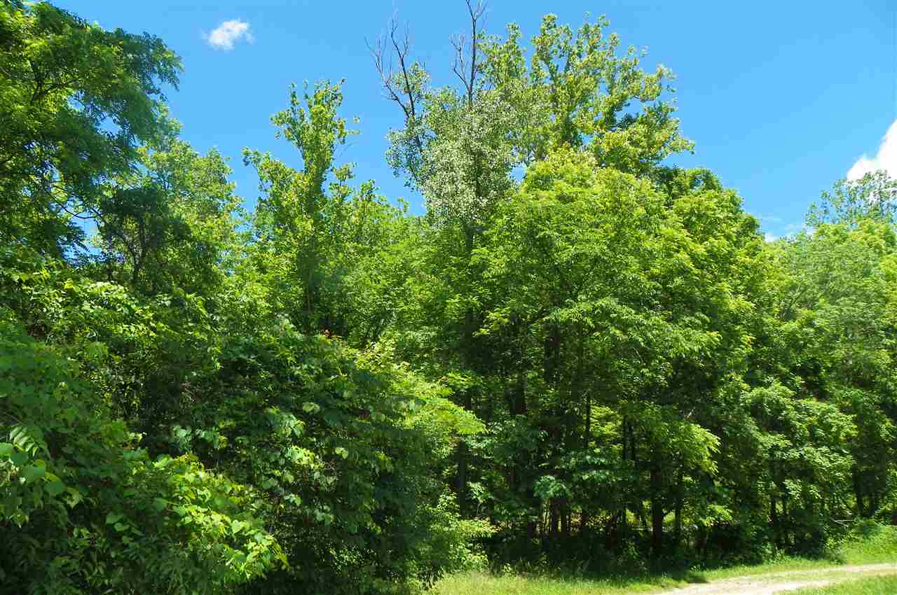 Lakewood Road Tell City, IN 47586 - Photo 8 of 12