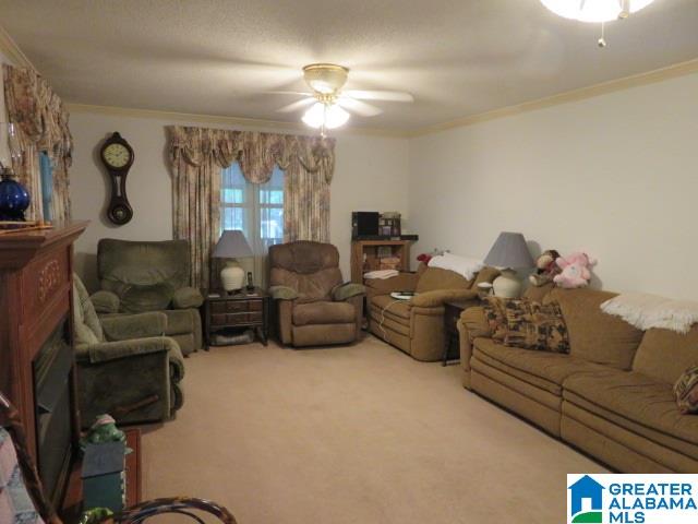 20025 Booler Road Vance, AL 35490 - Photo 6 of 48