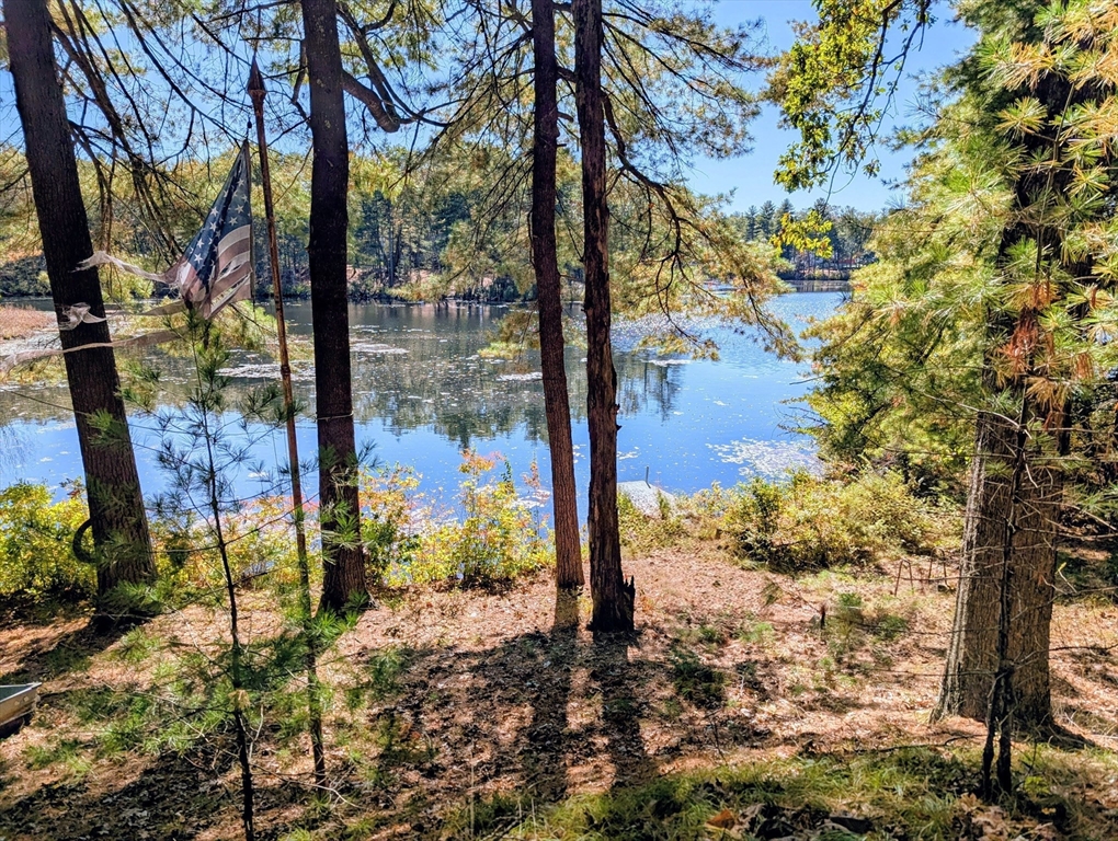 34 Hallock Point Road Stow, MA 01775 - Photo 2 of 5 a view of a yard with plants and trees
