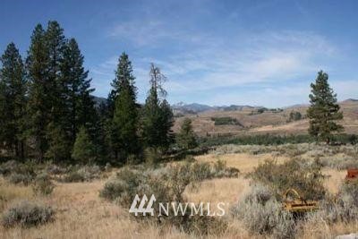75 Balky Hill Road Twisp, WA 98856 - Photo 1 of 1 Gallery Image 1