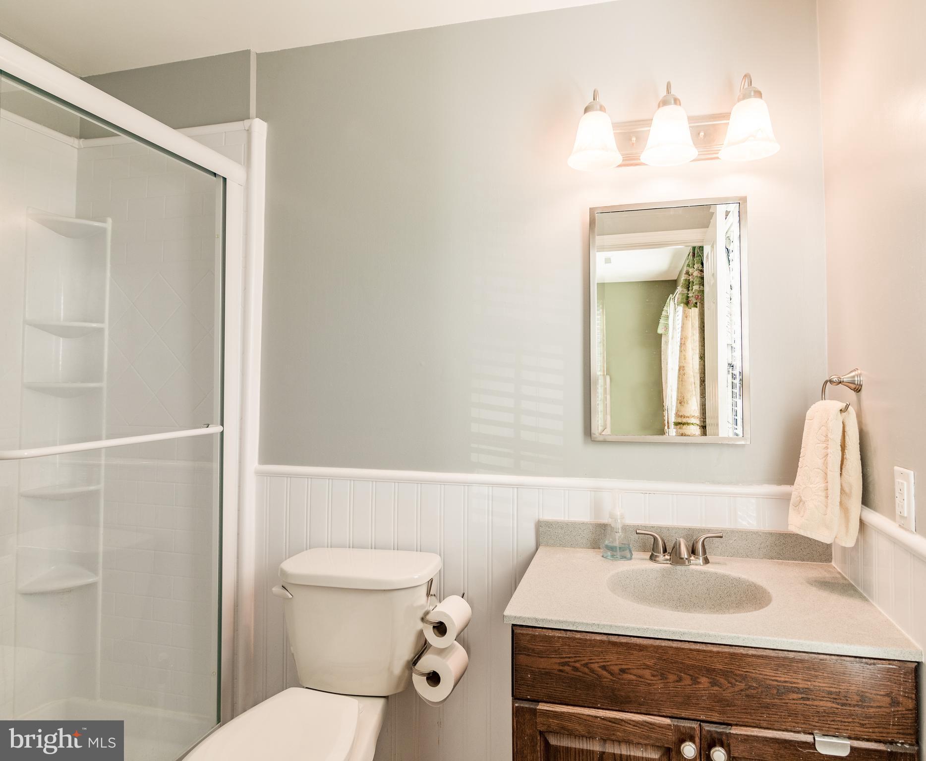 NEW Primary Bathroom