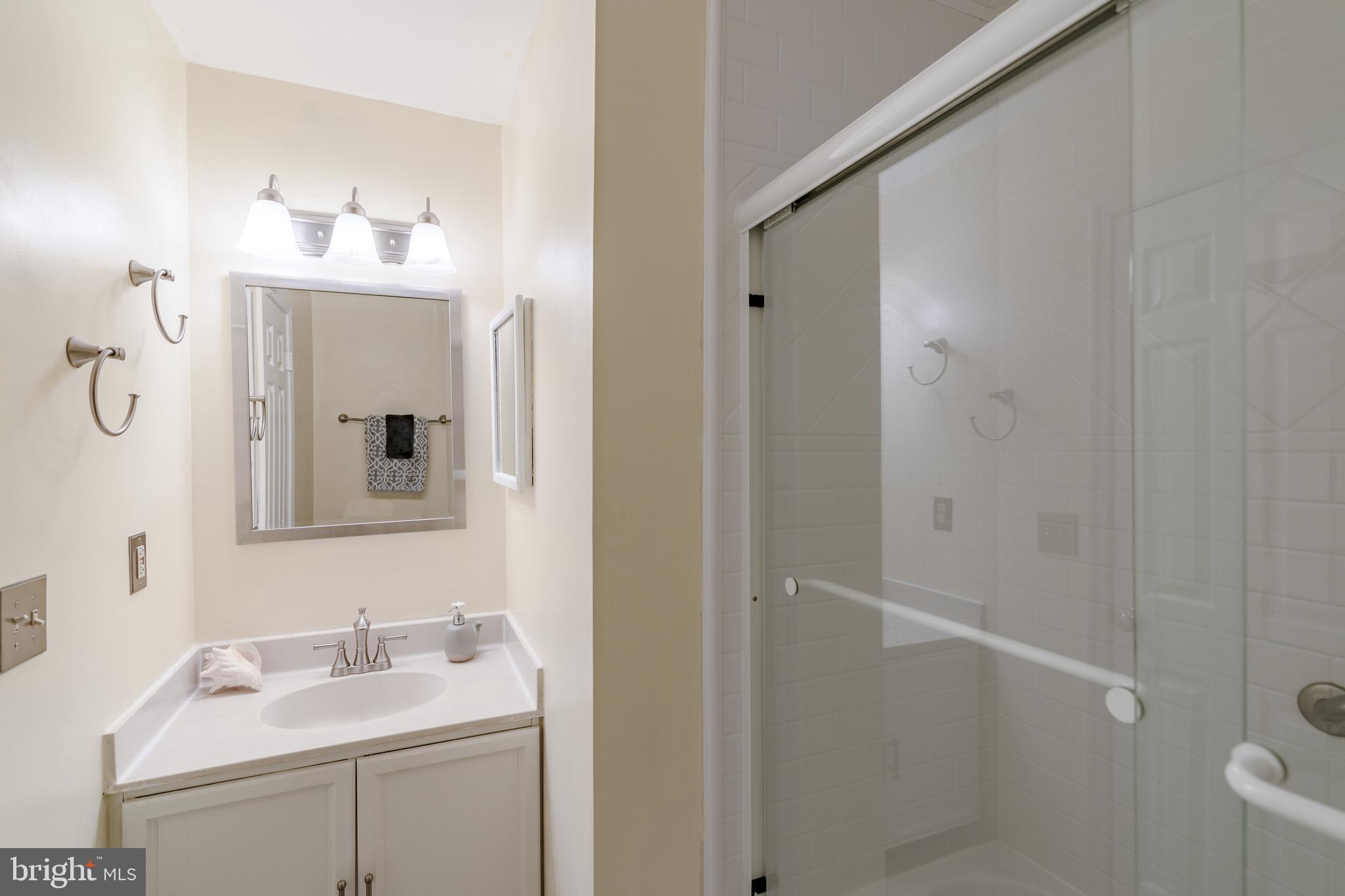 313 Silver Ridge Drive Sterling, VA 20164 - Photo 10 of 14 NEW Hall Bathroom