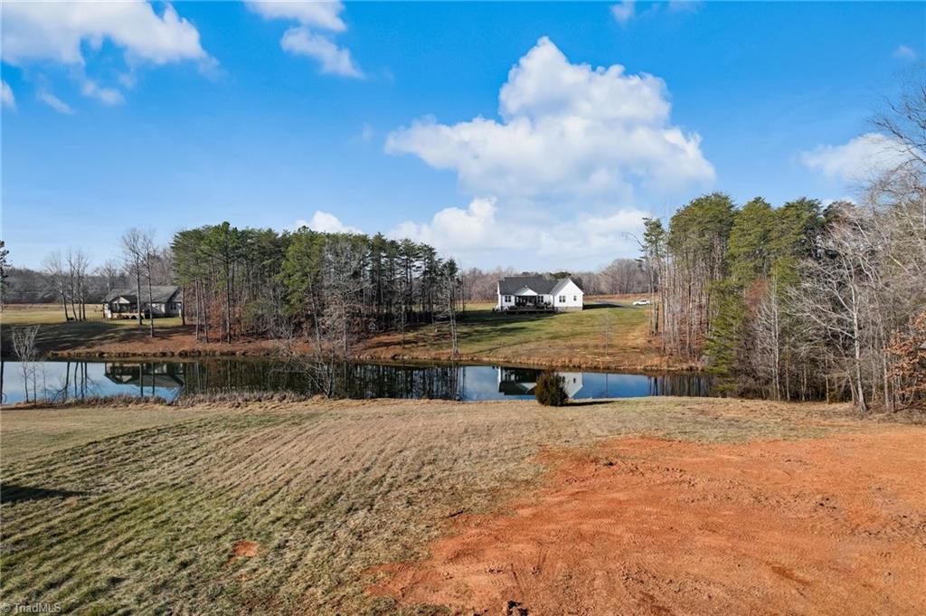 166 Little Creek Lane Ruffin, NC 27326 - Photo 8 of 50