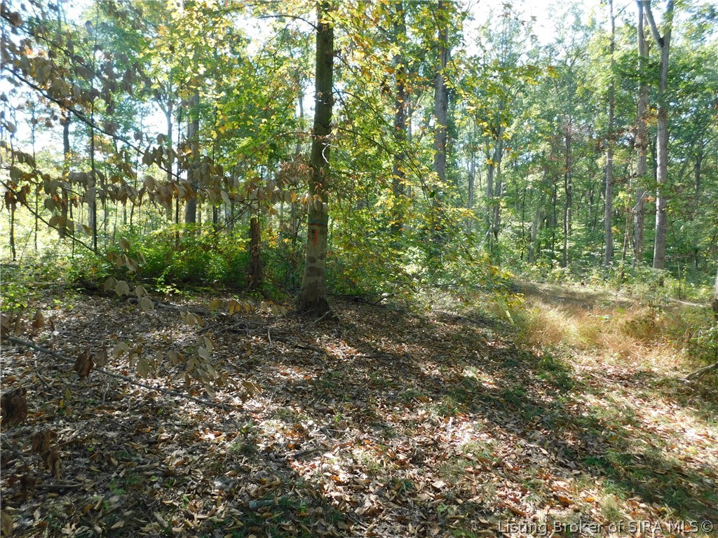 Beyl Road Borden, IN 47106 - Photo 5 of 7