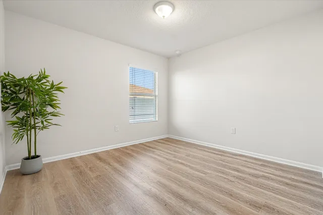 a view of empty room with wooden floor and a potted plant