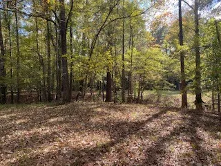 a view of outdoor space with trees
