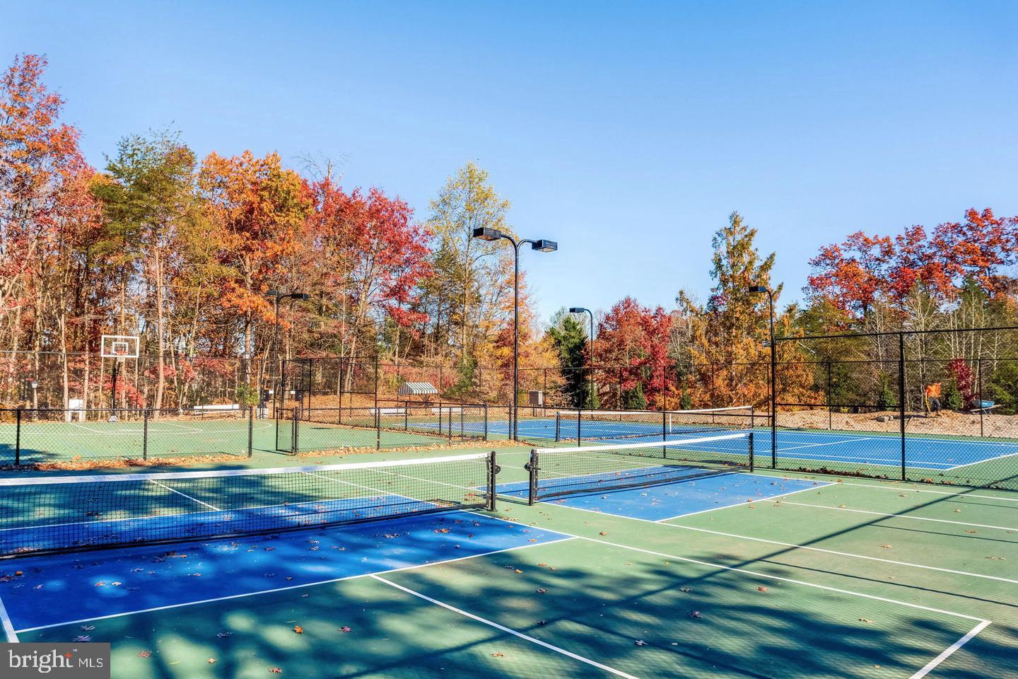 7701 Lexton Place, Unit 26 Springfield, VA 22152 - Photo 29 of 37