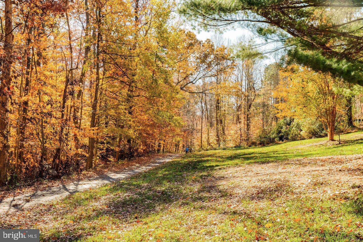 7701 Lexton Place, Unit 26 Springfield, VA 22152 - Photo 30 of 37 Trails lead to Lake Accotink Park