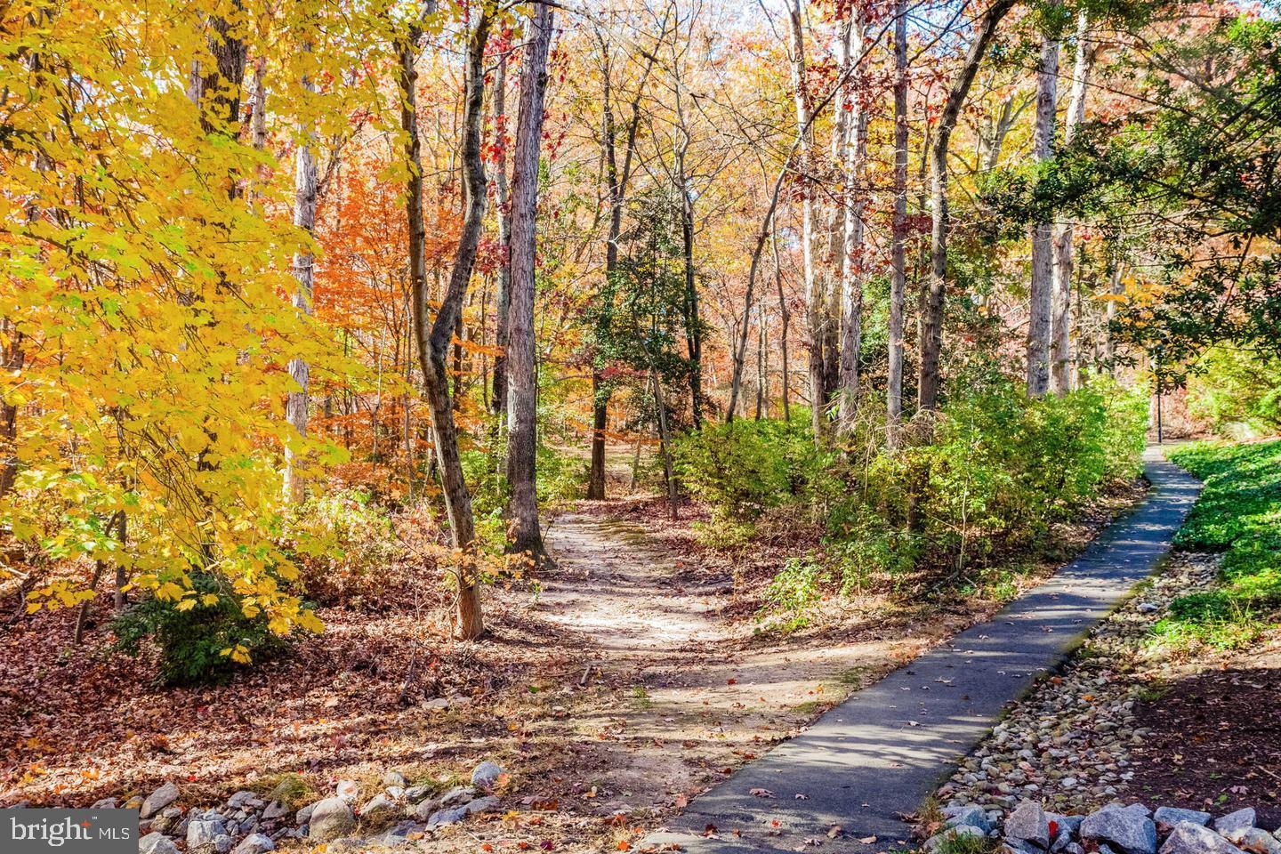 7701 Lexton Place, Unit 26 Springfield, VA 22152 - Photo 31 of 37