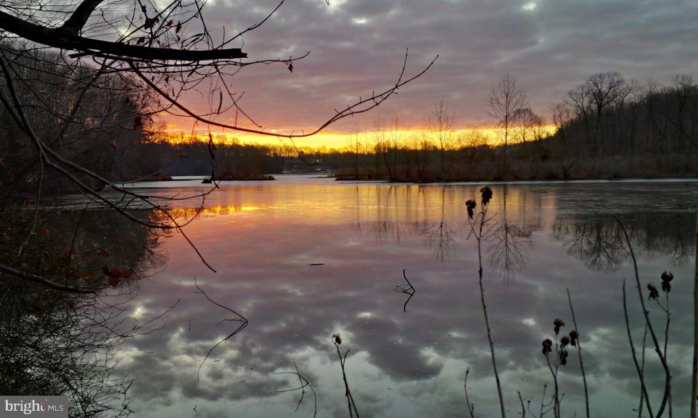 7701 Lexton Place, Unit 26 Springfield, VA 22152 - Photo 33 of 37