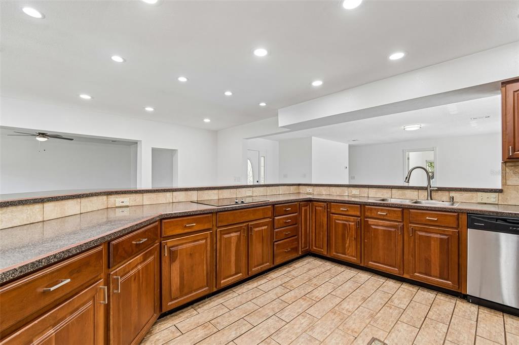 2959 Maple Court Dunedin, FL 34698 - Photo 22 of 63
