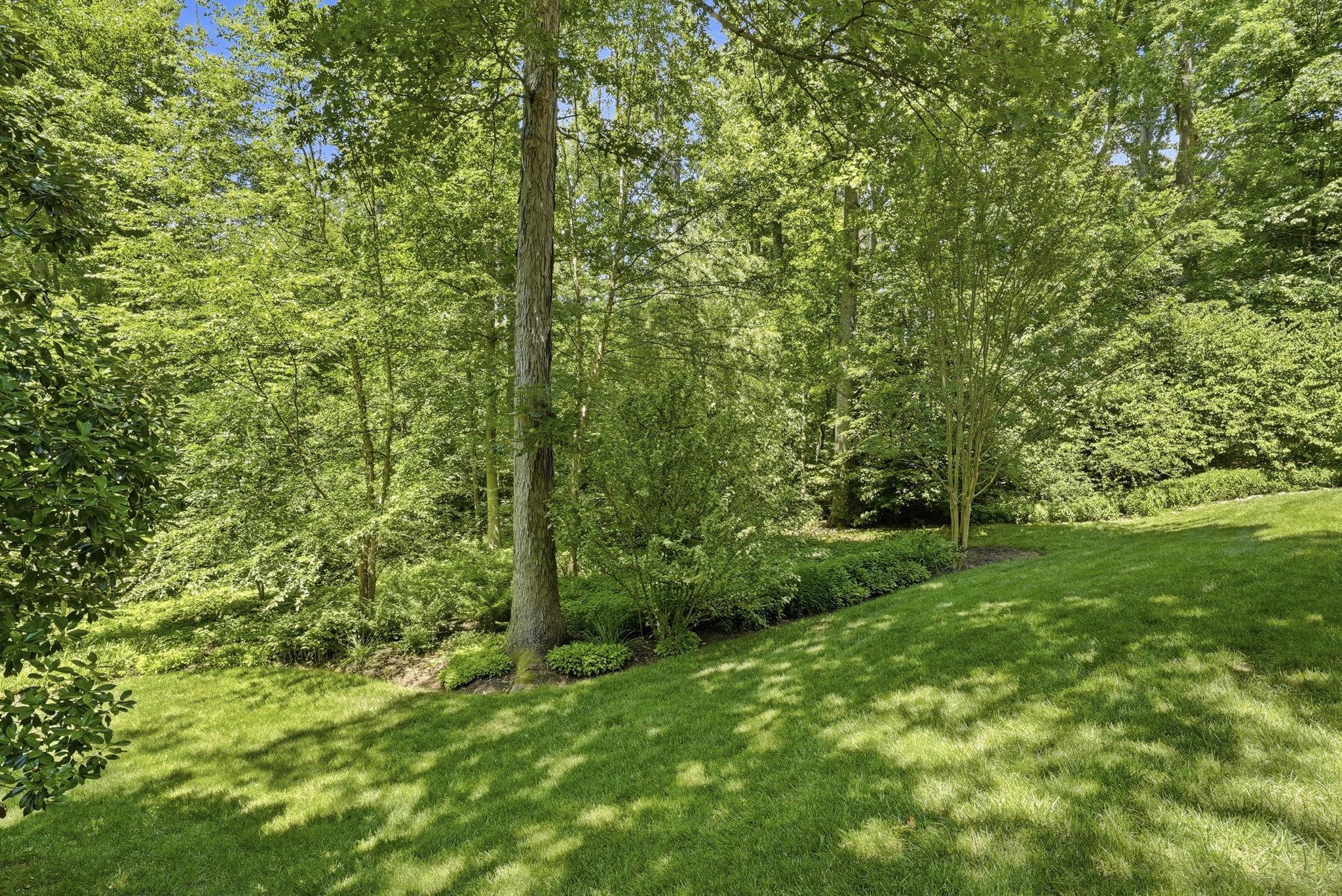 7512 Rambling Ridge Drive Fairfax Station, VA 22039 - Photo 53 of 64 Backyard