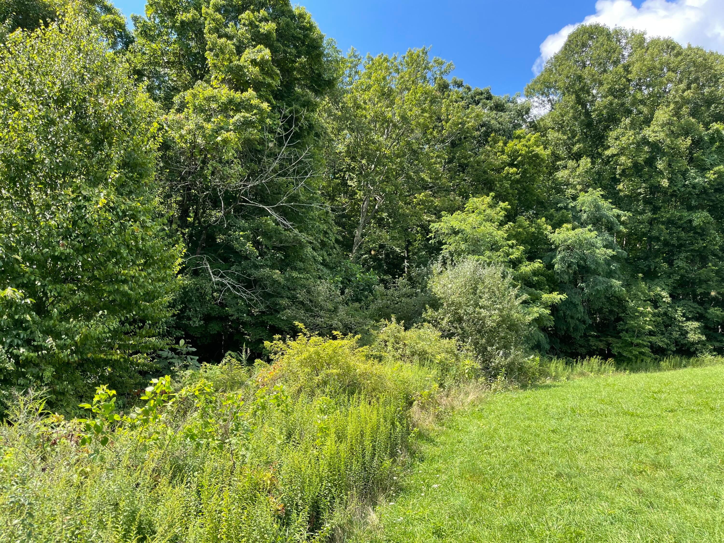 Ward Bench Road Sandstone, WV 25985 - Photo 85 of 92 Gallery Image 85