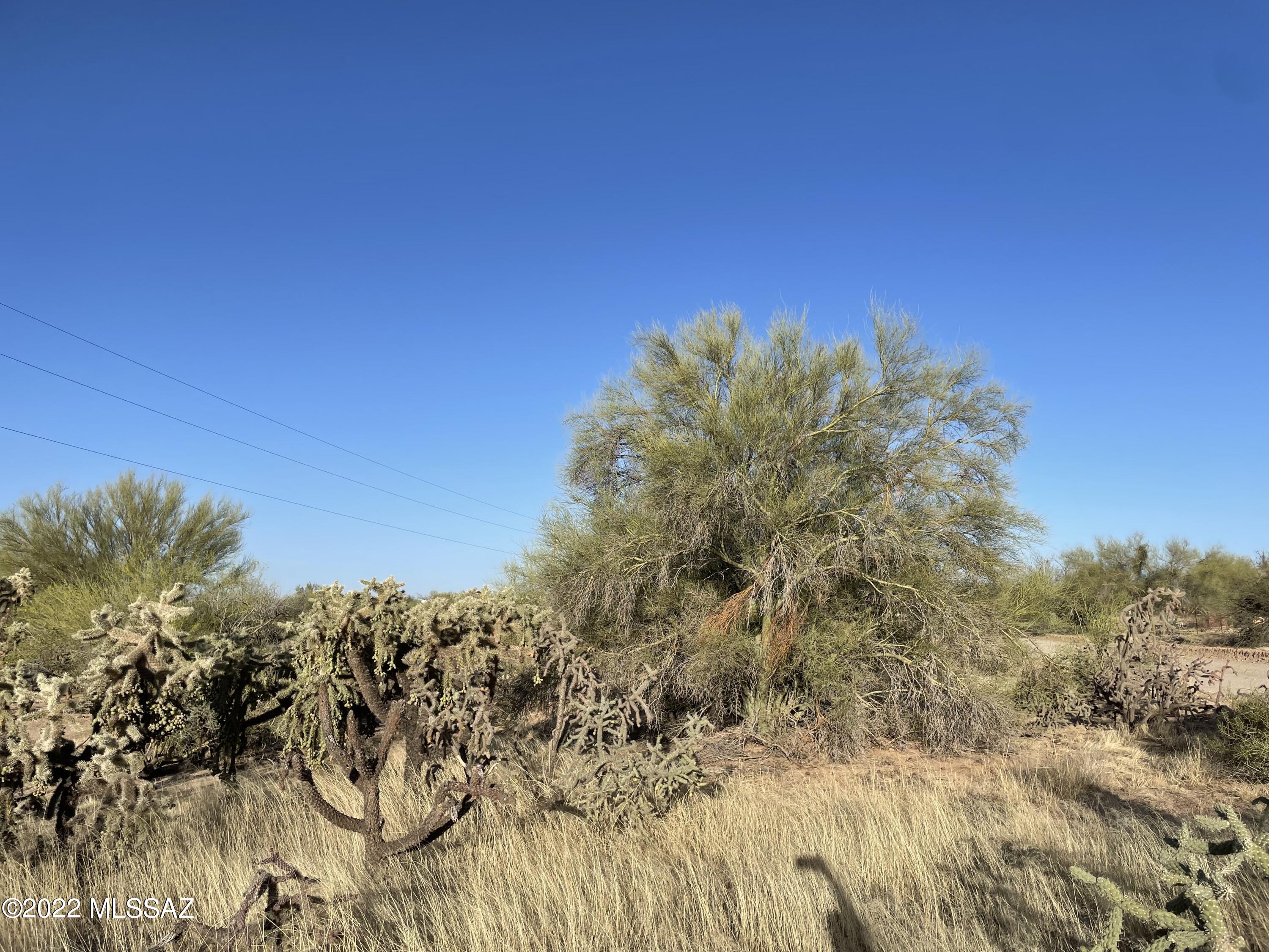 15580 West Chumblers Road, Unit 87 Tucson, AZ 85736 - Photo 4 of 7