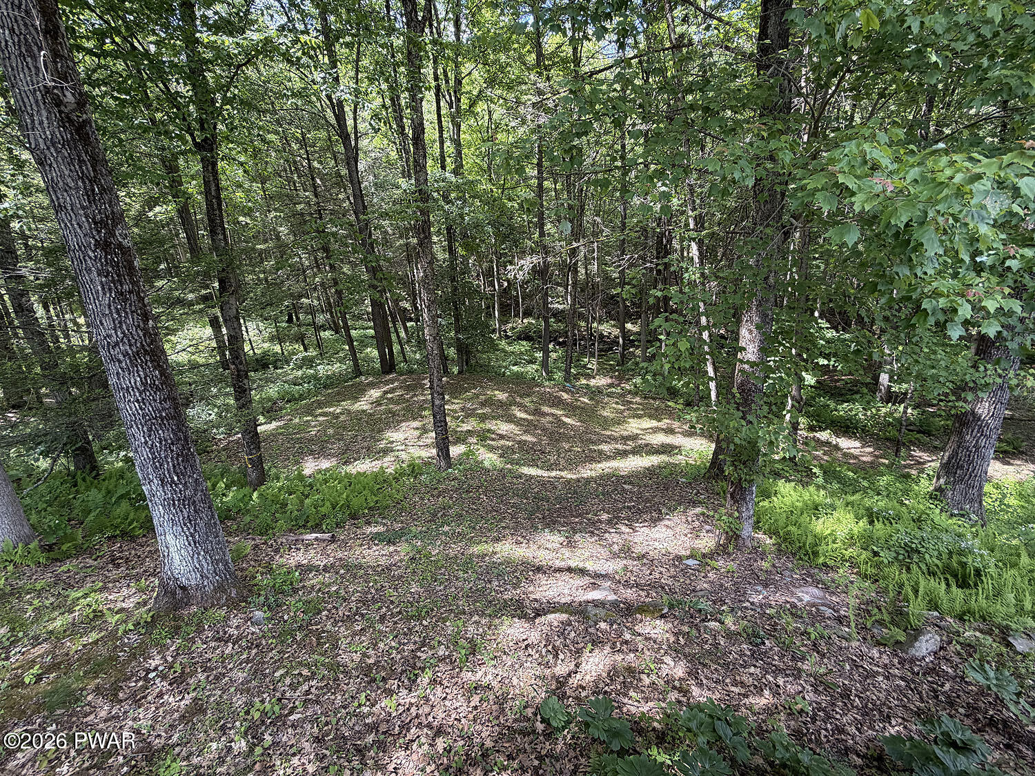 241 Dillontown Road Lake Como, PA 18437 - Photo 37 of 50