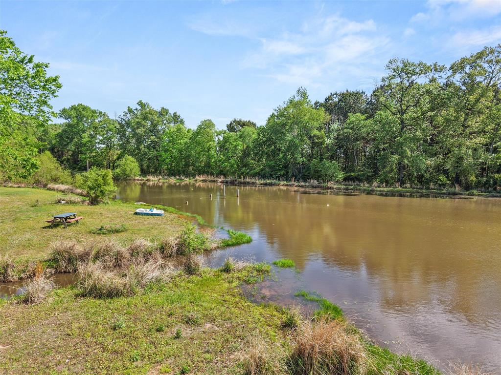 1333 Lupine Road Gilmer, TX 75644 - Photo 14 of 40 Gallery Image 14
